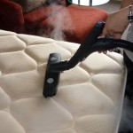 Univap SH-9000 Profesyonel Buharlı Temizlik Makinesi